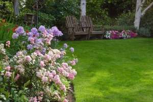 jardin en verano