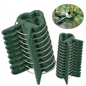 pinza para sujetar planta-cuidado jardín en septiembre