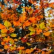 cuidados de jardín otoñal en septiembre