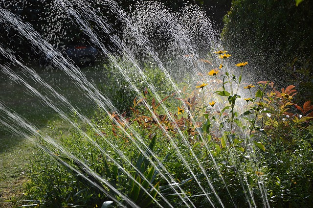 tipos de riego jardines