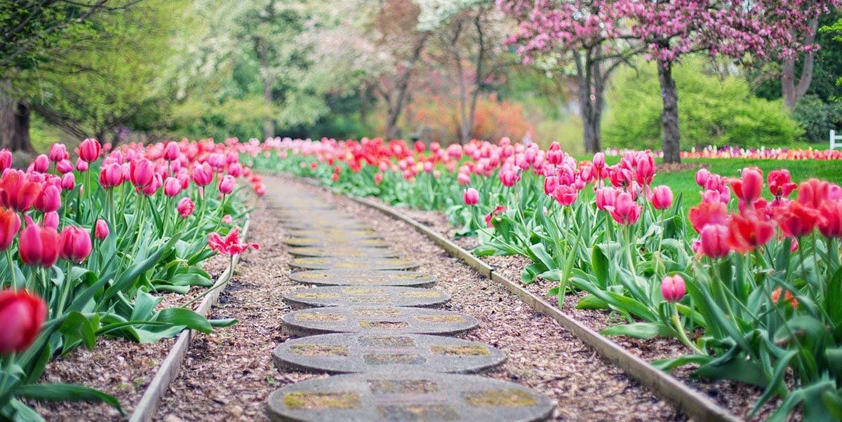 claves para diseñar el jardín