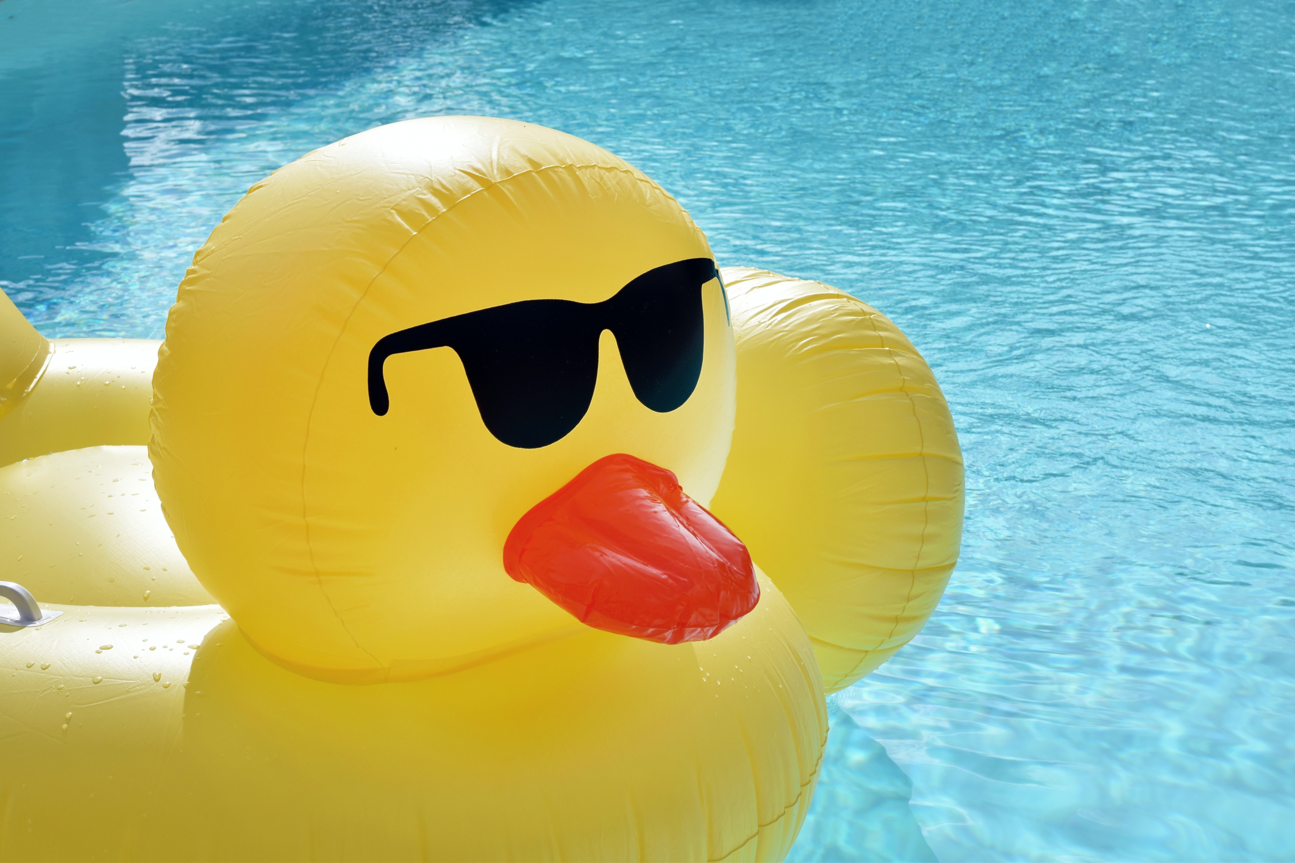 arreglar-la-piscina-para-el-verano-con-sertec