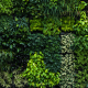 Riego de jardines verticales